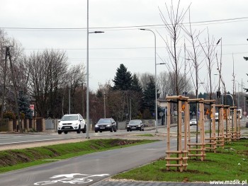 Wzdłuż drogi zostały posadzone nowe drzewa.