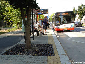 Krata wokół drzewa rosnącego obok przystanku.