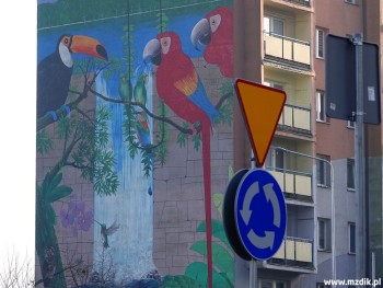 Nowe rondo jest w okolicach muralu z papugami.