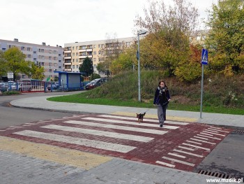 Wyniesione przejście przed szkołą podstawową.