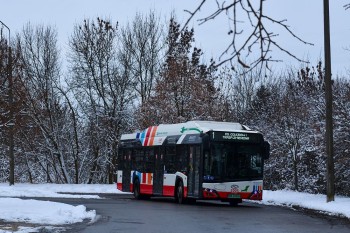 Wyróżnienie w konkursie: Dawid Nalberski.