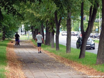 Przy ulicy 11 Listopada ma być droga rowerowa.